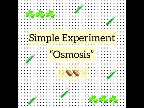 Osmosis Experiment Using Potato Strips