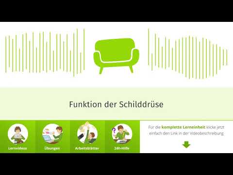 Funktion der Schilddrüse einfach erklärt | sofatutor