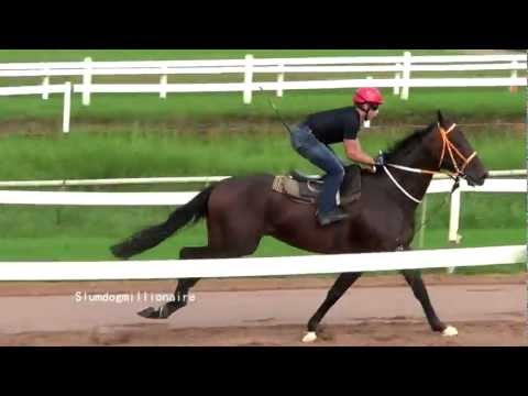 2013-01-04 Slumdogmillionaire and Bulsara on show