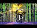 Bradfield :: Vers l'Essentiel de Soi