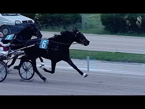 Aversa trotto 23 Dicembre 2020 - 4° Corsa