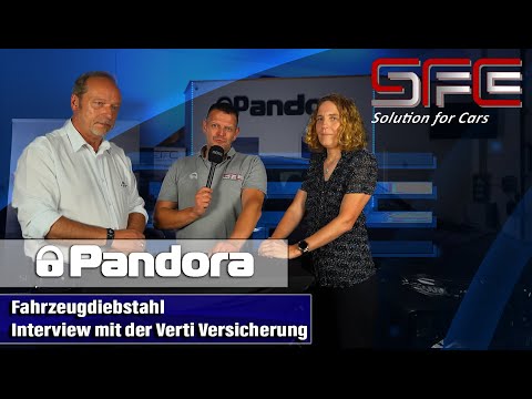 Vehicle theft - Verti Insurance and injured party in interview