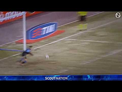 STEVAN JOVETIĆ   Goals, Skills, Assists   Fiorentina   2012 2013 HD)