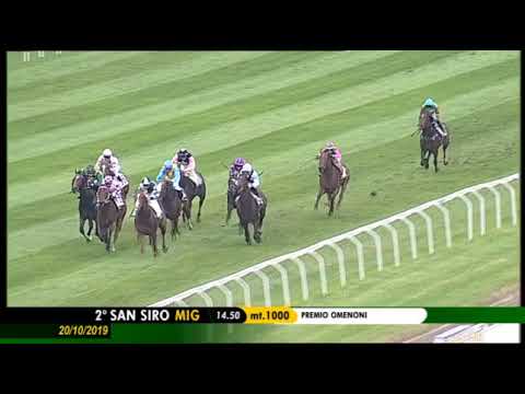 2019.10.20 Premio Omenoni (ITA) - Do it in Rio