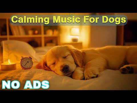 12 HOURS of Relaxing Music For Dogs💖Anti Separation Anxiety Relief🐶Pet music🎵 Deep Sleep