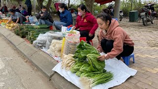 Harvest radishes, vegetables and onions to go to the market to sell. take care of farm animals