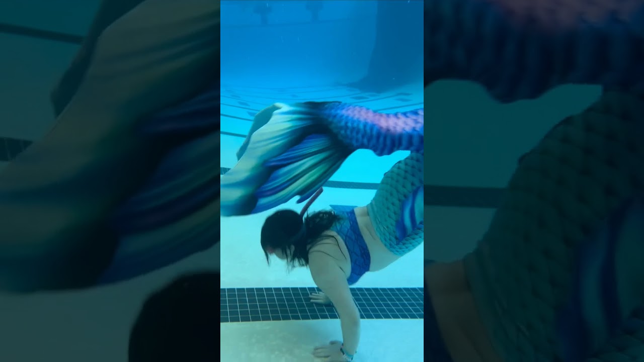 Promotional video thumbnail 1 for Mermaid Zippy