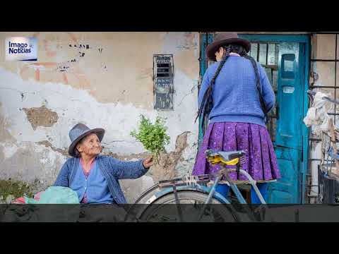 Imago — Todas las noticias