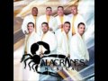 alacranes musical por el bien de los dos.wmv