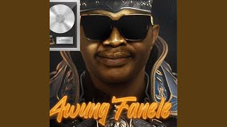 Download lagu Awungfanele mp3