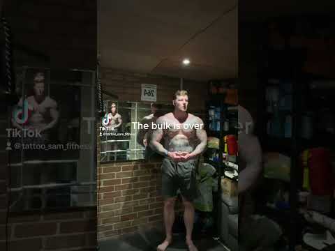 Physique at the end of BULK #gym #bulk #fitness