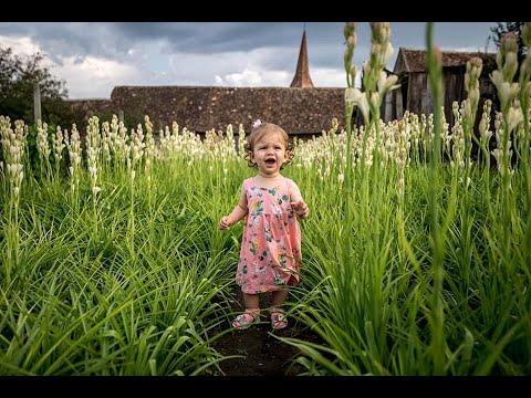 Sărbătoarea tuberozelor va avea loc sâmbătă și duminică la Hoghilag  | novatv.ro