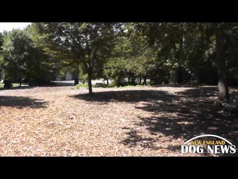 MA Dog Park: Medway Dog Park- Medway, Massachusetts