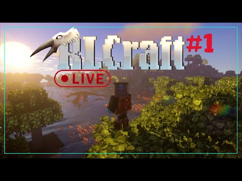 EPIC RLCRAFT Minecraft Gameplay LIVE - First Time Playing!