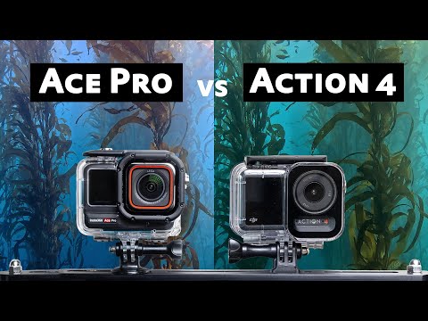 Insta360 Ace Pro vs DJI Osmo Action 4 Underwater Video Comparison