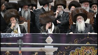 קבלת פנים - נכדת האדמו"ר מצאנז עם החתן בן רבי אלימלך בידרמן | R' Elimelech Biderman - Sanz Wedding