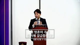 주일 설교