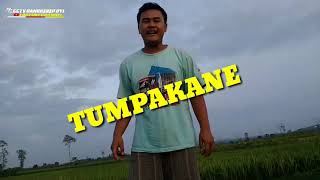 Download lagu Pacarmu Ngganteng Sugeh Tumpakane Ngene!!! Versi Truck Mozzah Full Oleng mp3 Download lagu Pacarmu Ngganteng Sugeh Tumpakane Ngene!!! Versi Truck Mozzah Full Oleng mp3
