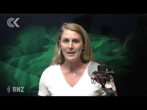 Evening business for Tuesday 11 February 2020