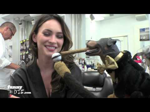 Triumph The Insult Comic Dog Visits the Set of 'This is 40'