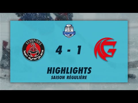 Scorpions de Mulhouse 4-1 Gothiques d'Amiens - Highlights - Synerglace Ligue Magnus 2022/23
