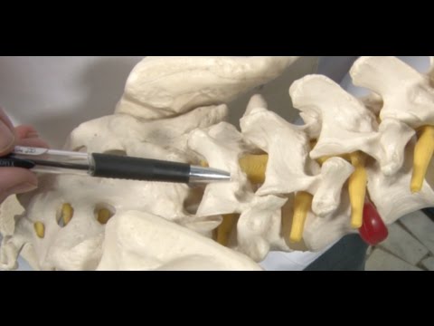 Muscoli del piede alla caviglia Trattamento rigidità articolare