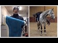 BAREBACK AGAIN I Try Bareback Pad