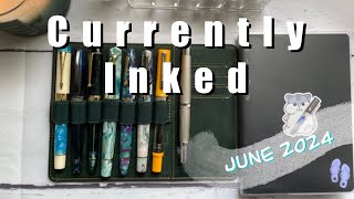 #currentlyinked June 2024: Asvine, Delta, Jinhao, Leonardo, Majohn, TWSBI | Anita Anglin