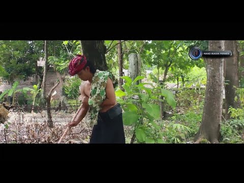 cak-silo-marah-marah-tanahnya-jadi-tempat-pemakaman