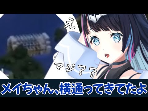 秘密基地みたいな浪漫の塊見させてもらっちゃった Minecraft参加型のひとコマ
