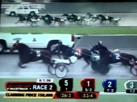2008 Hambletonian Day - Race 2 - Claiming 50,000