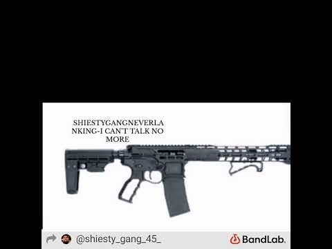 shiestygangneverlanking-I can't mf talk no more/free luh omf zae