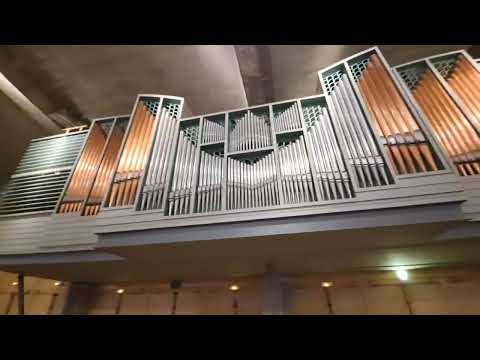 orgue de la basilique Saint-Pix X à Lourdes #video