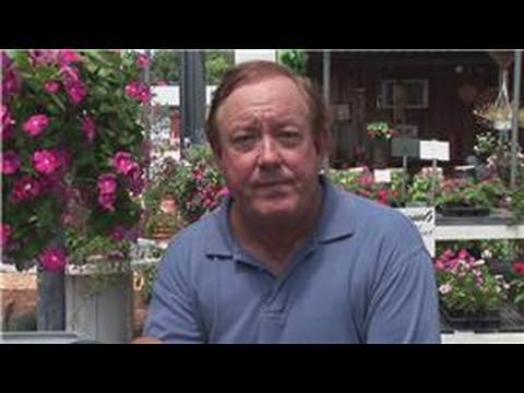 Gardening From Seeds : How to Plant a Cherry Seed