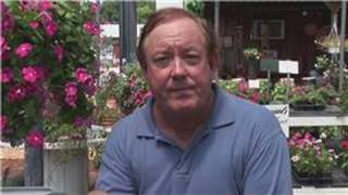 Gardening From Seeds : How to Plant a Cherry Seed