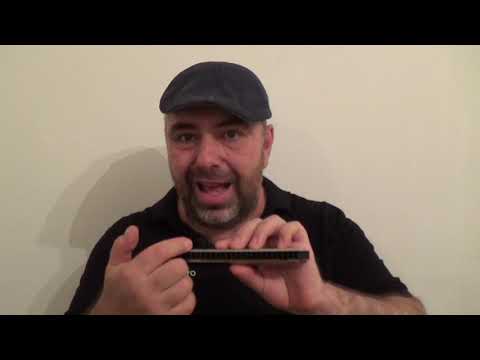 Marcian Petrescu - Prezentare si demonstratie muzicuta Big Valley C