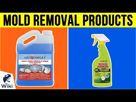 download lagu mp3 mp4 Best Mold Killer, download lagu Best Mold Killer gratis, unduh video klip Best Mold Killer