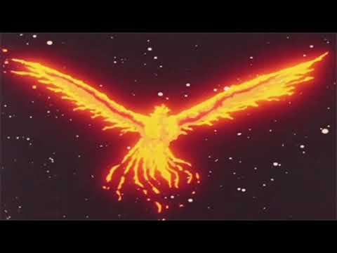 PHX Sami Vs PHX Jhors, PHX Paparazzi, TSR Mammoth, Ludwiq