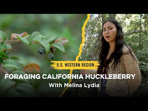 Huckleberry Oakdale Ca