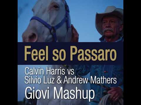 Calvin Harris Vs Silvio Luz & Andrew Mathers - Feel So Passaro (Giovi Mashup)