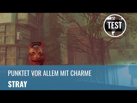 Stray im PS5-Test: Der Indie-Titel punktet vor allem mit Charme (4K, Review, German)