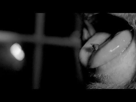 Spectres - Where Flies Sleep (Official Video)