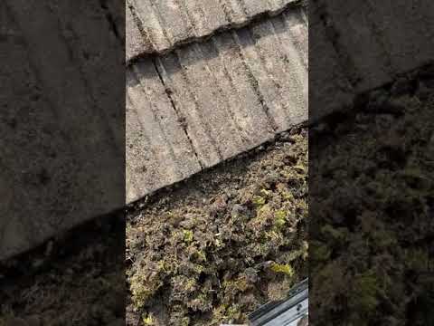 G.B Cleaning Services Ltd video.