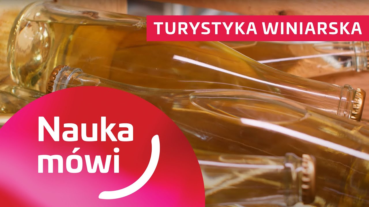 Turystyka winiarska | Nauka Mówi