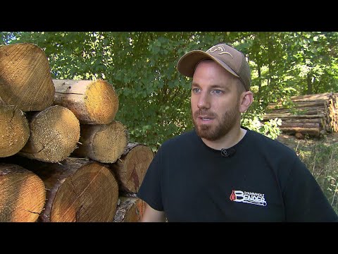 Händler verliert Holz im Wert von 50.000 Euro