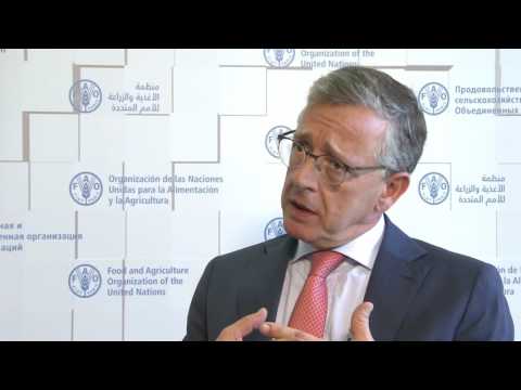 The European Union and the Port State Measures Agreement