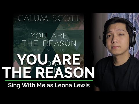 You Are The Reason (Duet) (Male Part Only - Karaoke) - Calum Scott ft. Leona Lewis