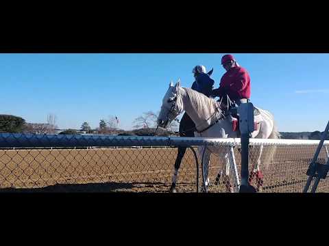 download lagu mp3 mp4 Milkshake Recipe For Racehorses, download lagu Milkshake Recipe For Racehorses gratis, unduh video klip Milkshake Recipe For Racehorses