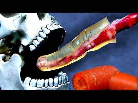 download lagu mp3 mp4 We Carrot, download lagu We Carrot gratis, unduh video klip We Carrot