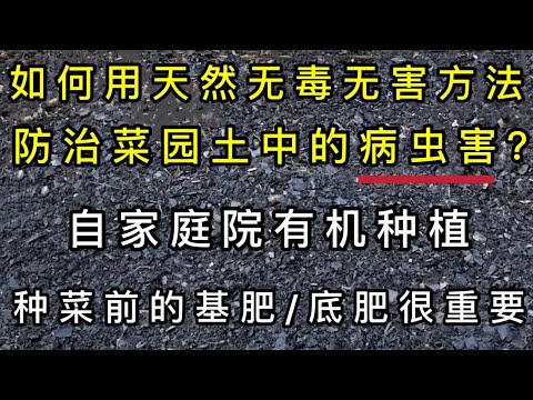 , title : '如何防治土里的病蟲害？用天然的方法替代農藥殺蟲劑。種菜前用什麼做基肥/底肥好？基肥/底肥和土壤的比例。懶人種菜營養土壤方法介紹。'